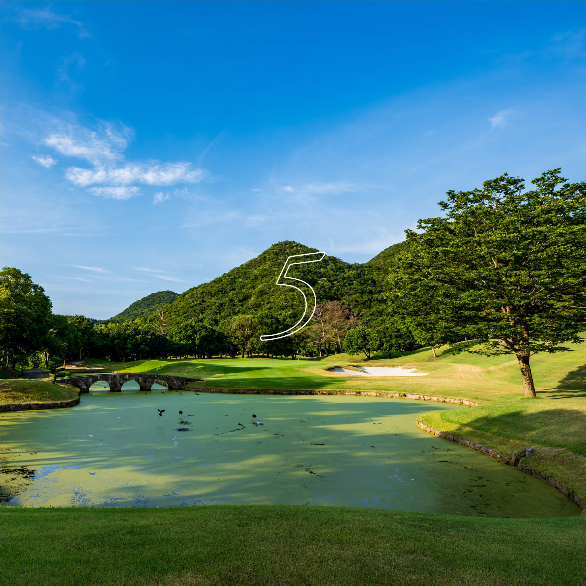 hole5