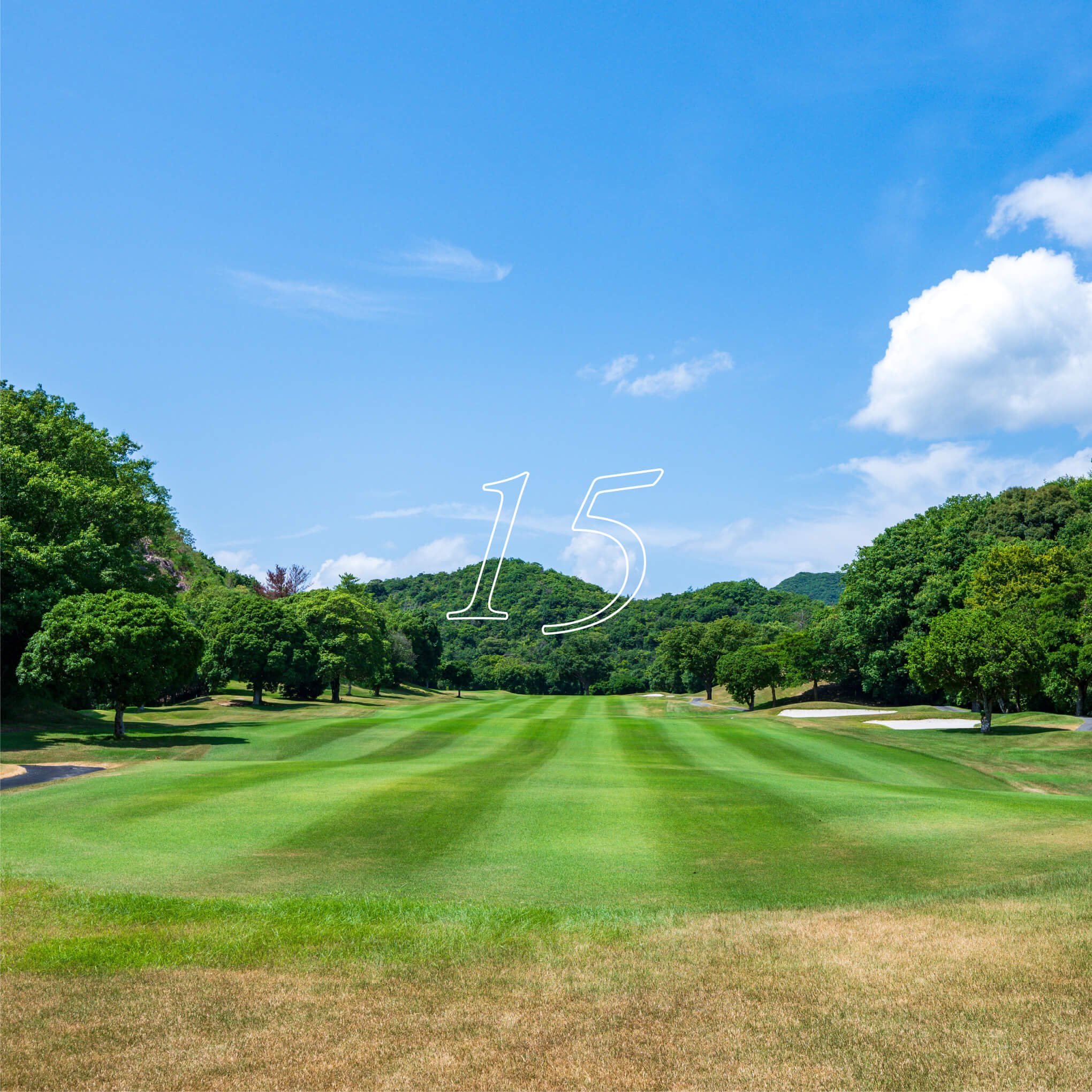 hole15